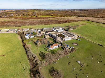 Click to view more details